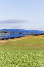 Solar panels in a large field under blue sky, Energiewende, construction of PV open space,