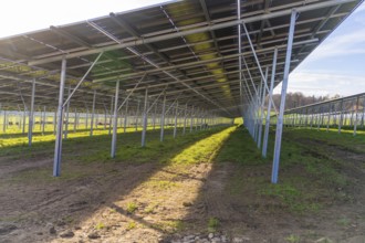 Underside of solar panels, showing shadows cast on green grass field, energy transition,