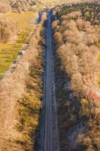 A railway line stretches through a dense forest landscape in winter, construction of the Hermann