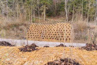 A planted hill with young plants, surrounded by forest in a quiet environment, construction of the