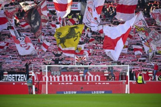 Cannstatter Kurve, VfB Stuttgart, fan block, fans, fan curve, flags, atmosphere, atmospheric,