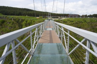 A modern suspension bridge with glass floor over a green landscape with forest, diamond bridge,
