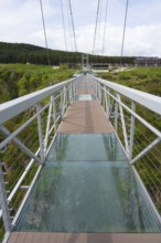 A modern suspension bridge with glass floor stretches across a green gorge, Diamond Bridge, Diamond