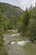 Weissach river, Wildbad Kreuth, Tegernseer Tal, Upper Bavaria, Bavaria, Germany