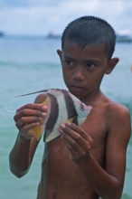 Boy with a tropical fish on Ko Phi Phi Don, two years in front of the tsunami, Thailand, December