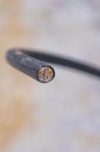 Sharp close-up of an electrical cable with multiple wires, parking garage construction with