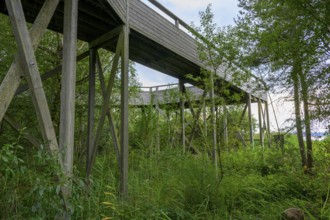 Long wooden bridge leads through lush greenery and trees to an observation tower at Lake Tåkern