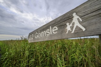 Wooden signpost shows a hiking trail through the reed areas, Tåkern, Vadstena, Östergötalands Län,