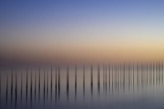 Eickhöpen, Lembruch, Lower Saxony, Germany, soft pastel long exposure with piles in fog over a calm
