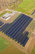 Large solar park right on the edge of an autumn forest and green fields, energy revolution,
