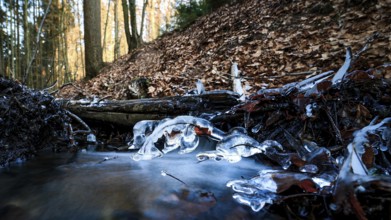 Close-up of blue icicles. Cool, frosty atmosphere reflecting the winter cold, Zwickenbach,