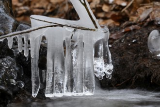 Close-up of icicles. Cool, frosty atmosphere reflecting the winter cold, Zwickenbach,