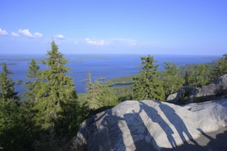 Panoramic view of lakes and forests under clear blue sky with tree statues, Koliberg, Finland's