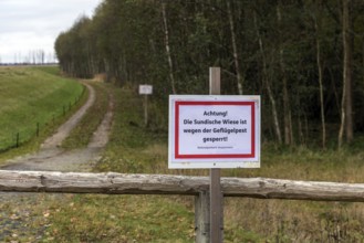 Information sign, Achtung Sundische Wiese closed due to avian influenza, Osterwald, Zingst,