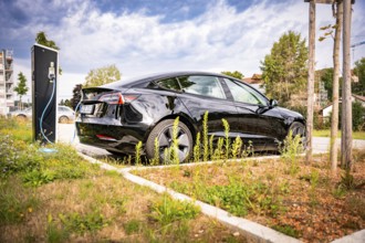 Black car at a charging station in a sunny, urban area, Deer e-Carsharing, Tesla Model 3, Calw,
