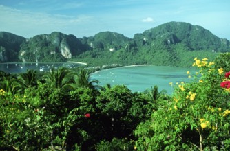 View of the island from the viewpoint one year in front of the tsunami, Ko Phi Phi Don, Thailand,