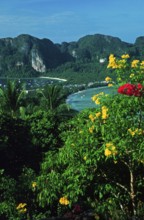 View of the island from the viewpoint one year in front of the tsunami, Ko Phi Phi Don, Thailand,