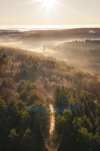 Sunrise over wooded hills with fog and colorful autumn leaves, Gechingen, Calw district, Germany