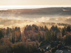 View of fog-shrouded hills and dense forests at rising sun, Gechingen, Calw district, Germany