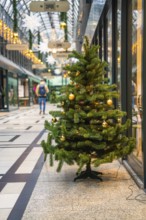 Small Christmas tree with lights in modern shopping arcade with glass roof, Calwer Passage,