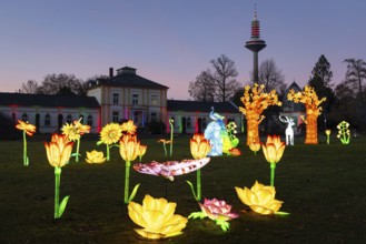 From November 29, 2025 to January 11, 2026, the palm garden and its partner World of Lights