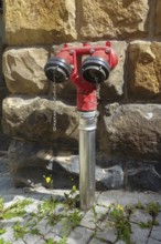 Hydrant, red faucet for extracting water, back masonry, paving stones, Tübingen, Baden-Württemberg,