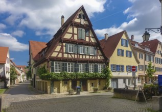 Half-timbered house, Altstadt, an der Ammer, climbing plant, paving stones, paper bin, sign,