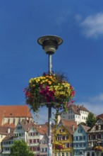 Flower decoration on street lamp, colorful blossoms, light, on the Neckar, historic old town