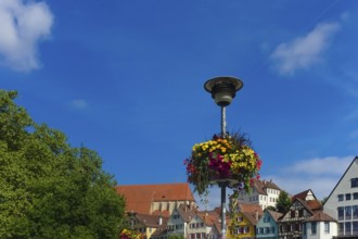 Flower decoration on street lamp, colorful blossoms, light, on the Neckar, historic old town