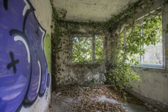 Room with gravity and overgrown with plants, dilapidated plant of a former agricultural production