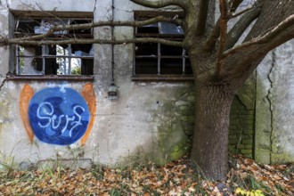 Wall of a building with broken windows, gravity and tree, dilapidated plant of a former