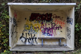 Bus shelters sprayed with Grafity, Müggenburg, Fischland-Darß-Zingst, Western Pomerania Lagoon Area