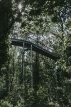 Lost Place, Treetop Trail of the Beelitz Heilstätten, Brandenburg