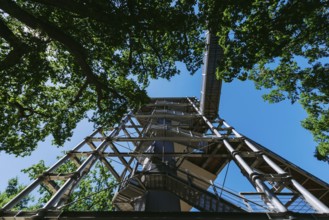 Lost Place, Treetop Trail of the Beelitz Heilstätten, Brandenburg