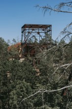 Ruins of the Women's Sanatorium, Lost Place, Heilstätten Beelitz, Brandenburg