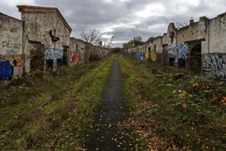 Dilapidated halls with gravity of the dilapidated plant of a former agricultural production