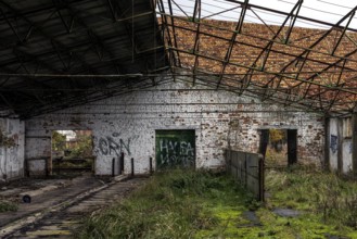 Former hall, dilapidated plant of a former agricultural production cooperative of the former GDR,