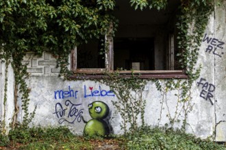 Grafity on an old house wall, dilapidated plant of a former agricultural production cooperative of