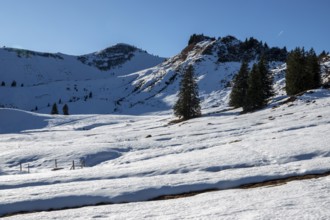 High-altitude hiking trail from Bolsterlanger Horn to Riedberger Horn, snow-covered, behind