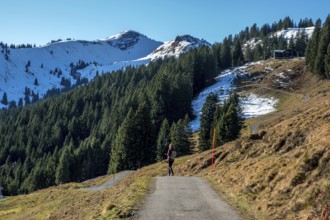 Female hiker on high-altitude hiking trail from Bolsterlanger Horn to Riedberger Horn, back