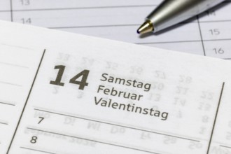Calendar page on February 14, Valentine's Day, presented with ballpoint pen, diary