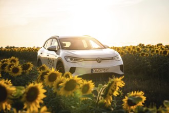 A white car is placed in sunflowers at sunset, VW ID4 electric car, Deer Carsharing, Calw, Germany
