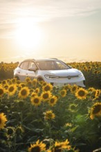 A white car is surrounded by sunflowers at sunset, VW ID4 electric car, Deer Carsharing, Calw,