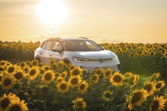 A white car is parked in the middle of a sunflower field at sunset, VW ID4 electric car, Deer