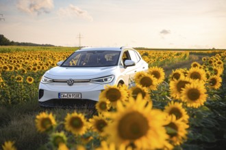 A car in a sunflower field under a golden sky, VW ID4 electric car, Deer Carsharing, Calw, Germany