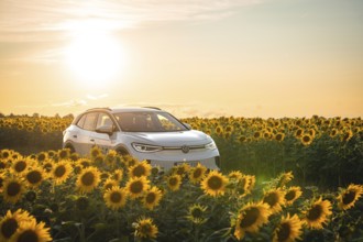 A white car is parked in a sunflower field at sunset, VW ID4 electric car, Deer Carsharing, Calw,