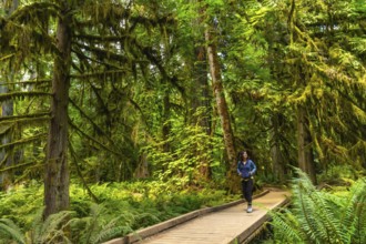 Female tourist hiking along a wooden footpath surrounded by towering moss covered trees and ferns