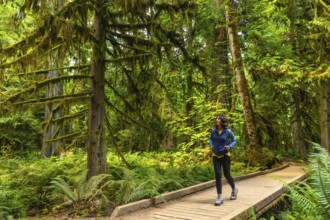 Female hiker enjoying a walk on a wooden path through the beautiful, moss covered trees of