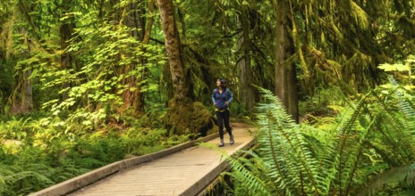 Female tourist walking along a wooden footbridge, surrounded by lush ferns and towering moss