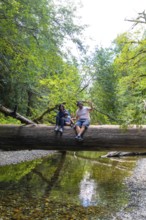 Tourists sitting on a large fallen tree trunk spanning a shallow river in a lush green forest,
